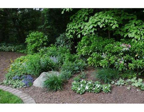 56 Morningside Rd, Needham, MA 02492 photo 10