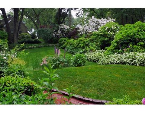 56 Morningside Rd, Needham, MA 02492 photo 5