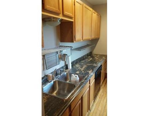 23 Esther St, Worcester, MA 01607 photo 2