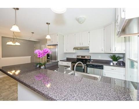 259 Gresham St, Springfield, MA 01119 photo 7