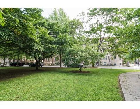 71 Babcock St #6, Brookline, MA 02446 photo 10
