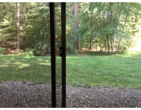 2 Deer Path #6, Maynard, MA 01754 photo 22