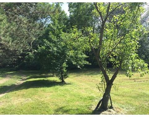 10 State Rd, Phillipston, MA 01331 photo 17