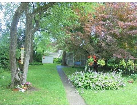 25 Burnside Ter, Springfield, MA 01118 photo 18