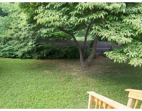 256 River St, Braintree, MA 02184 photo 13