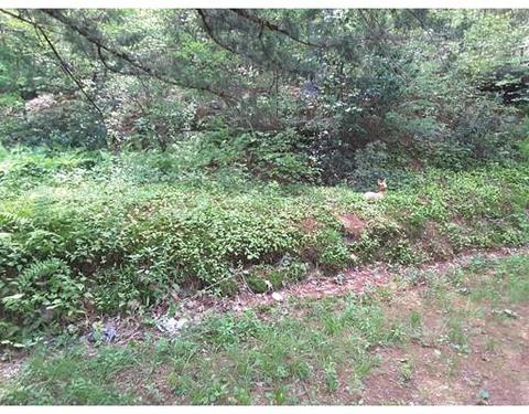 54 Cottage St, Warren, MA 01083 photo 6