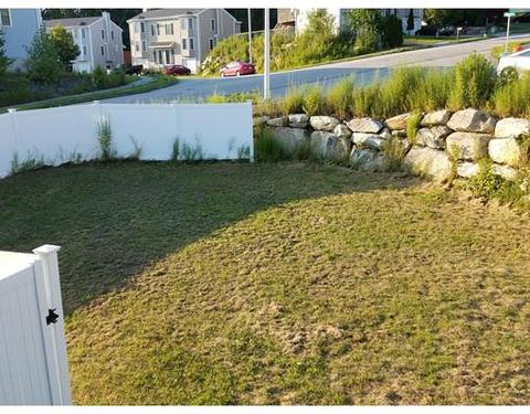 58 Sophia Dr, Worcester, MA 01607 photo 8