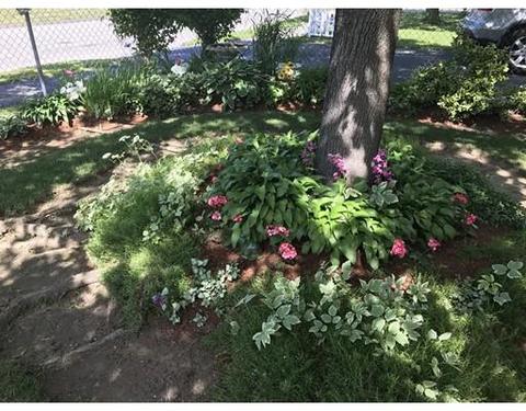 49 Timrod Dr, Worcester, MA 01603 photo 20