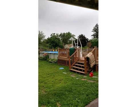 82 Aldrew Ter, Springfield, MA 01119 photo 5
