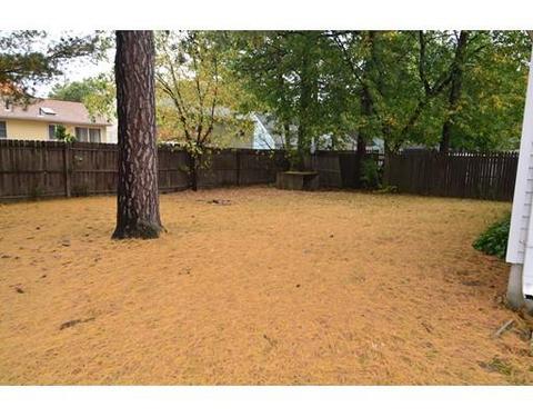 102 Avery St, Springfield, MA 01119 photo 9