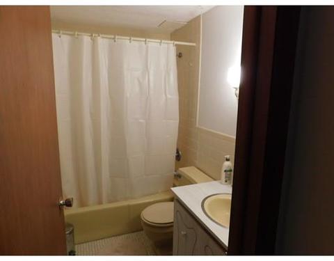 145 Orient St, Worcester, MA 01604 photo 22