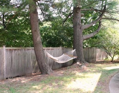 5 Parallel St, Arlington, MA 02474 photo 28
