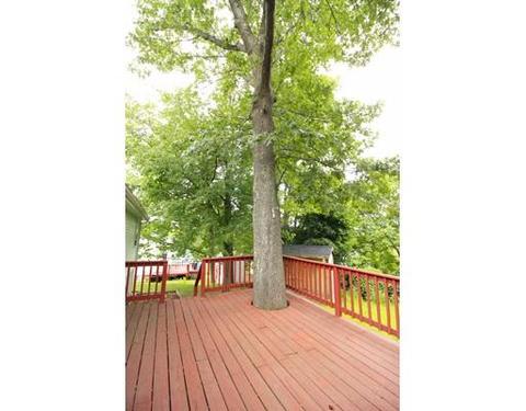 5 Tucker St, Worcester, MA 01606 photo 26