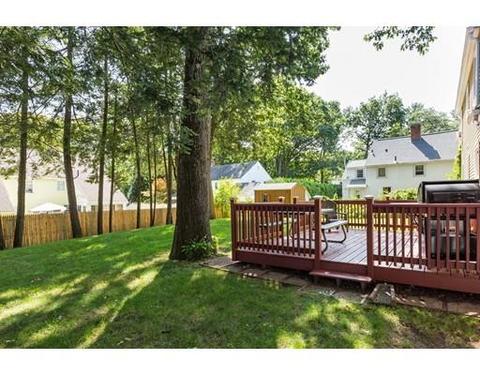 11 Pine Hill Rd, Springfield, MA 01118 photo 22