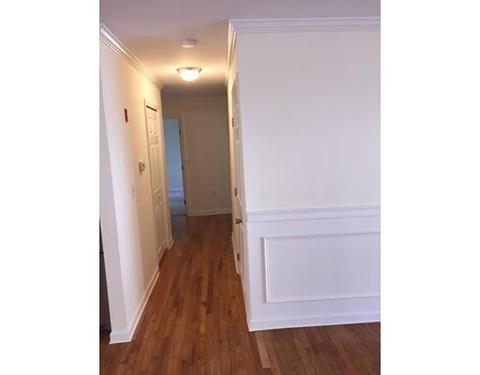 5 Cataline St, Worcester, MA 01605 photo 16