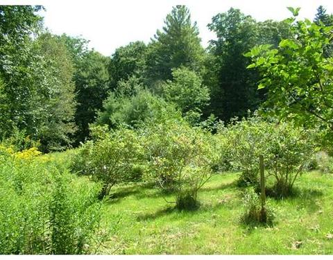 65 Potter Rd, Rowe, MA 01367 photo 10