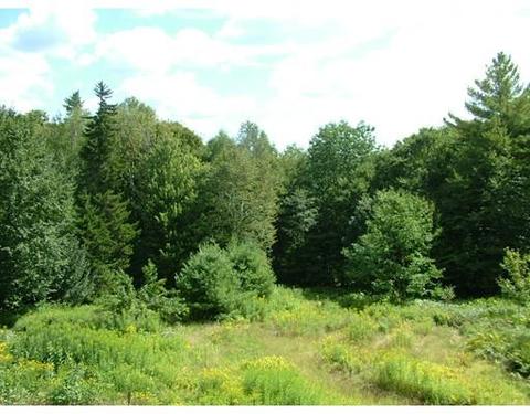 65 Potter Rd, Rowe, MA 01367 photo 30