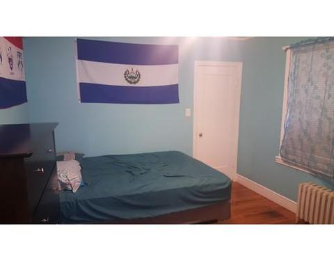 14 Thayer St, Worcester, MA 01603 photo 8