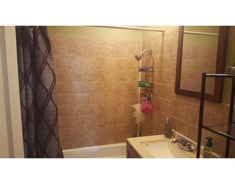14 Thayer St, Worcester, MA 01603 photo 6