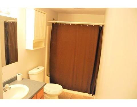 39 Locust Ave, Worcester, MA 01604 photo 13