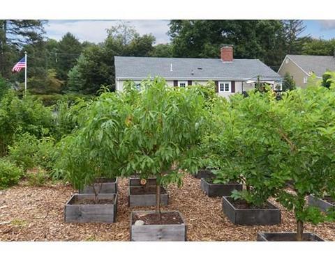 204 Maple St, Danvers, MA 01923 photo 9