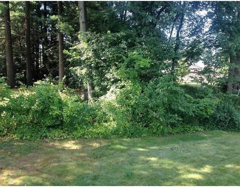 183 Westbrook Dr, Springfield, MA 01129 photo 19