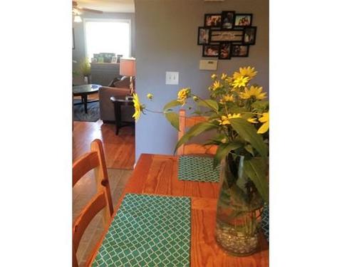 183 Westbrook Dr, Springfield, MA 01129 photo 8