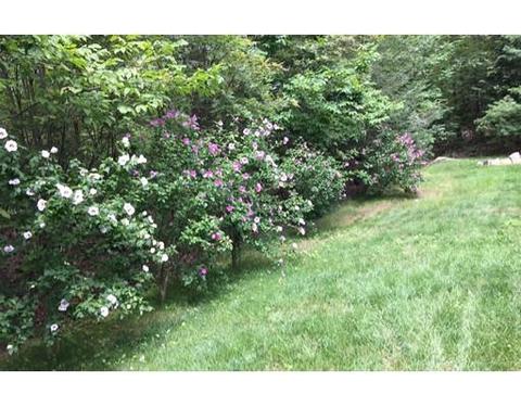 15 Lower Gore Rd, Webster, MA 01570 photo 30