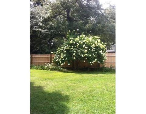 36 Forest St, Wakefield, MA 01880 photo 16