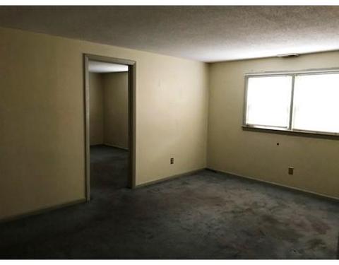 50 E Bay Path Ter, Springfield, MA 01109 photo 6