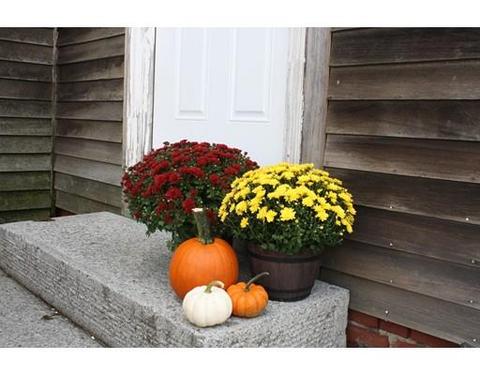 232 Main St #3, Gloucester, MA 01930 photo 1
