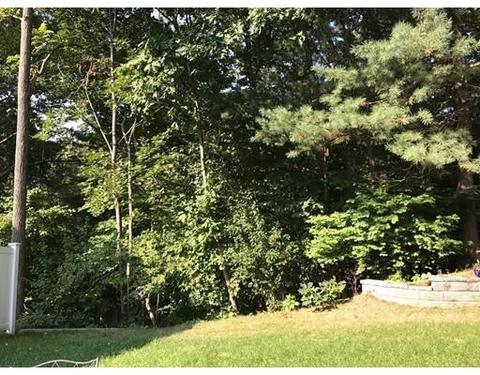 27 Curve St, Needham, MA 02492 photo 30