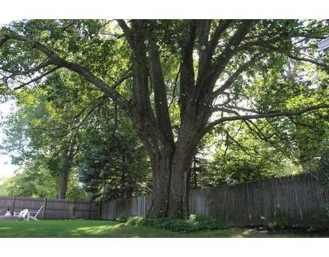 29 Oneida Ave, Worcester, MA 01606 photo 24