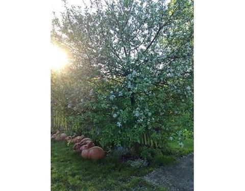 27 Clark St, Easthampton, MA 01027 photo 23
