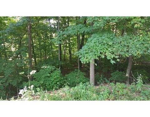 34 Eleanor Rd, Springfield, MA 01108 photo 22
