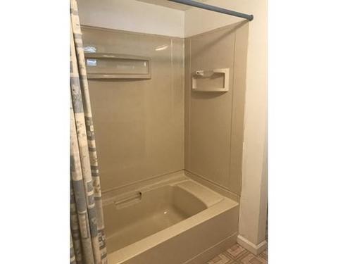 223 Drexel St, Springfield, MA 01104 photo 18