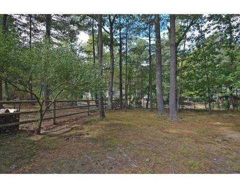 16 Alpine Dr, Amherst, MA 01002 photo 18