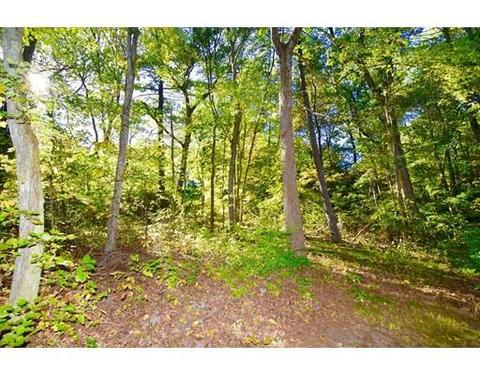 3 Mohawk Rd, Canton, MA 02021 photo 16