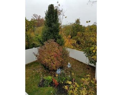 93 Agnes St, Springfield, MA 01118 photo 10