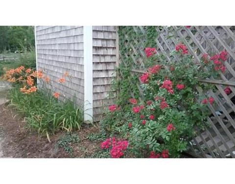 74 Hay Rd #74, Eastham, MA 02642 photo 21
