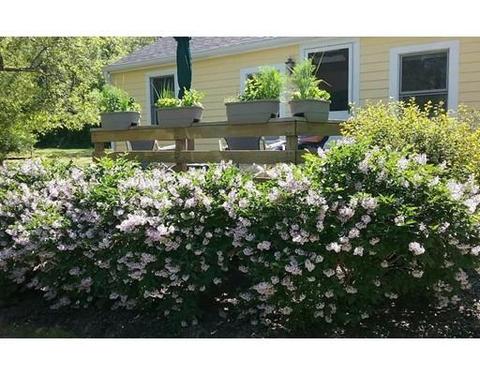 74 Hay Rd #74, Eastham, MA 02642 photo 1