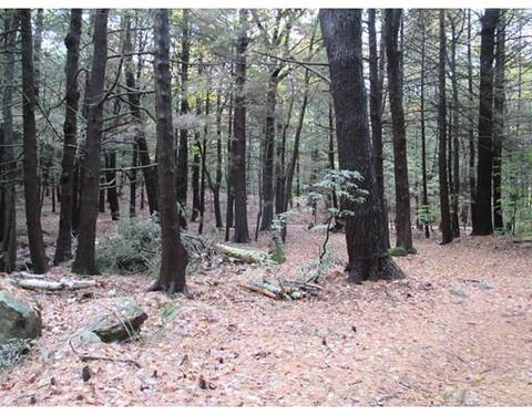 4 Lambs Cove Rd, Phillipston, MA 01331 photo 15