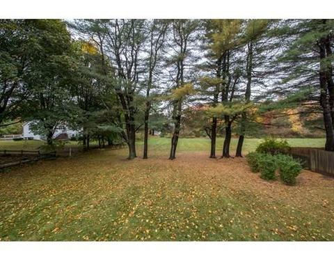 303 Plain St, Millis, MA 02054 photo 27