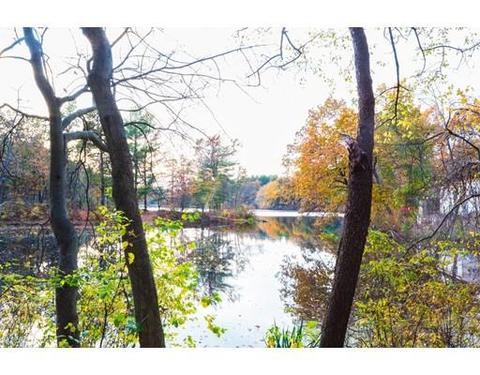 266 Stapleton Rd, Springfield, MA 01109 photo 6