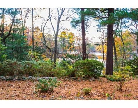 266 Stapleton Rd, Springfield, MA 01109 photo 4