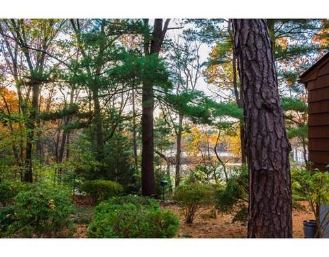266 Stapleton Rd, Springfield, MA 01109 photo 5