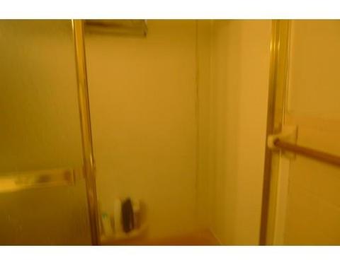 102 Draper St, Springfield, MA 01108 photo 5