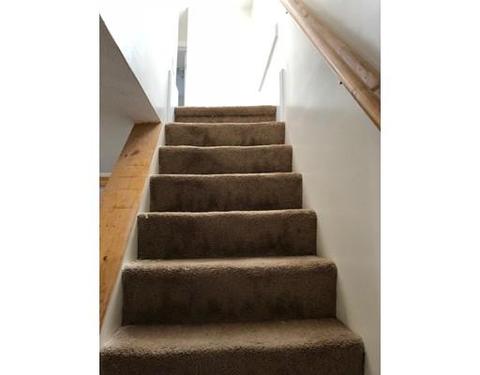 151 Colton St, Springfield, MA 01109 photo 9
