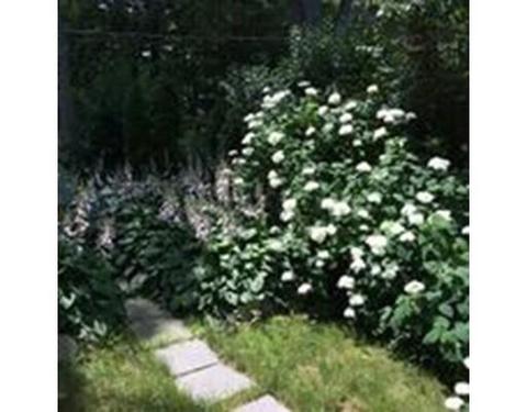 203 High Rock St, Needham, MA 02492 photo 21