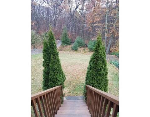 44 Nutmeg Dr, Worcester, MA 01603 photo 26